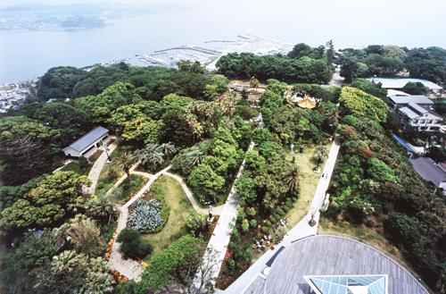 ENOSHIMA SAMUEL COCKING GARDEN