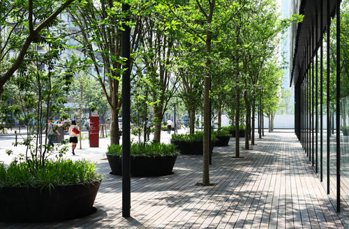 TOYOSU CUBIC GARDEN LANDSCAPE